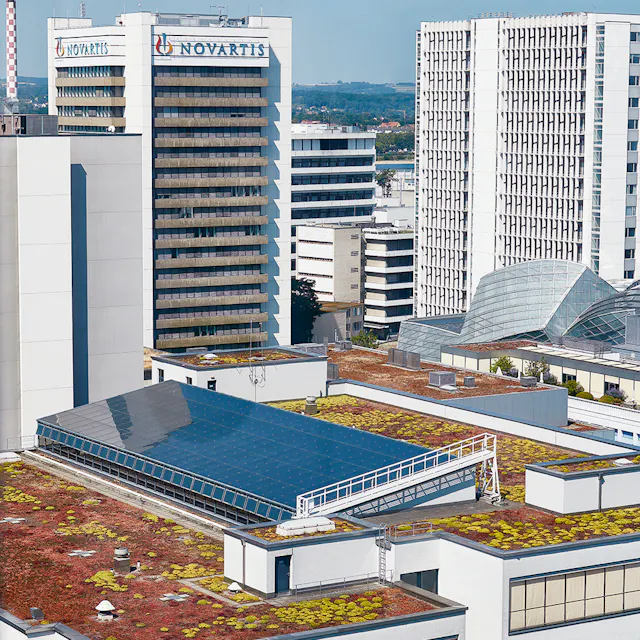 Solar panels and naturalized roofs are now standard on many buildings of the Novartis Campus.