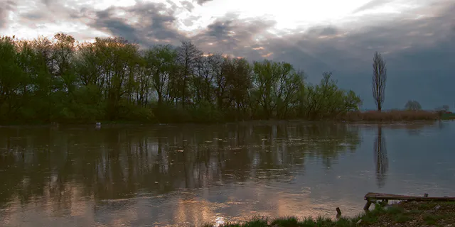 Der Fluss Mureș fliesst gemächlich durch die Karpaten.