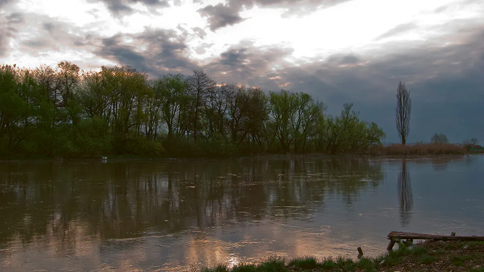 The river Mures flows gently through the Carpathians.