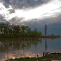 The river Mures flows gently through the Carpathians.