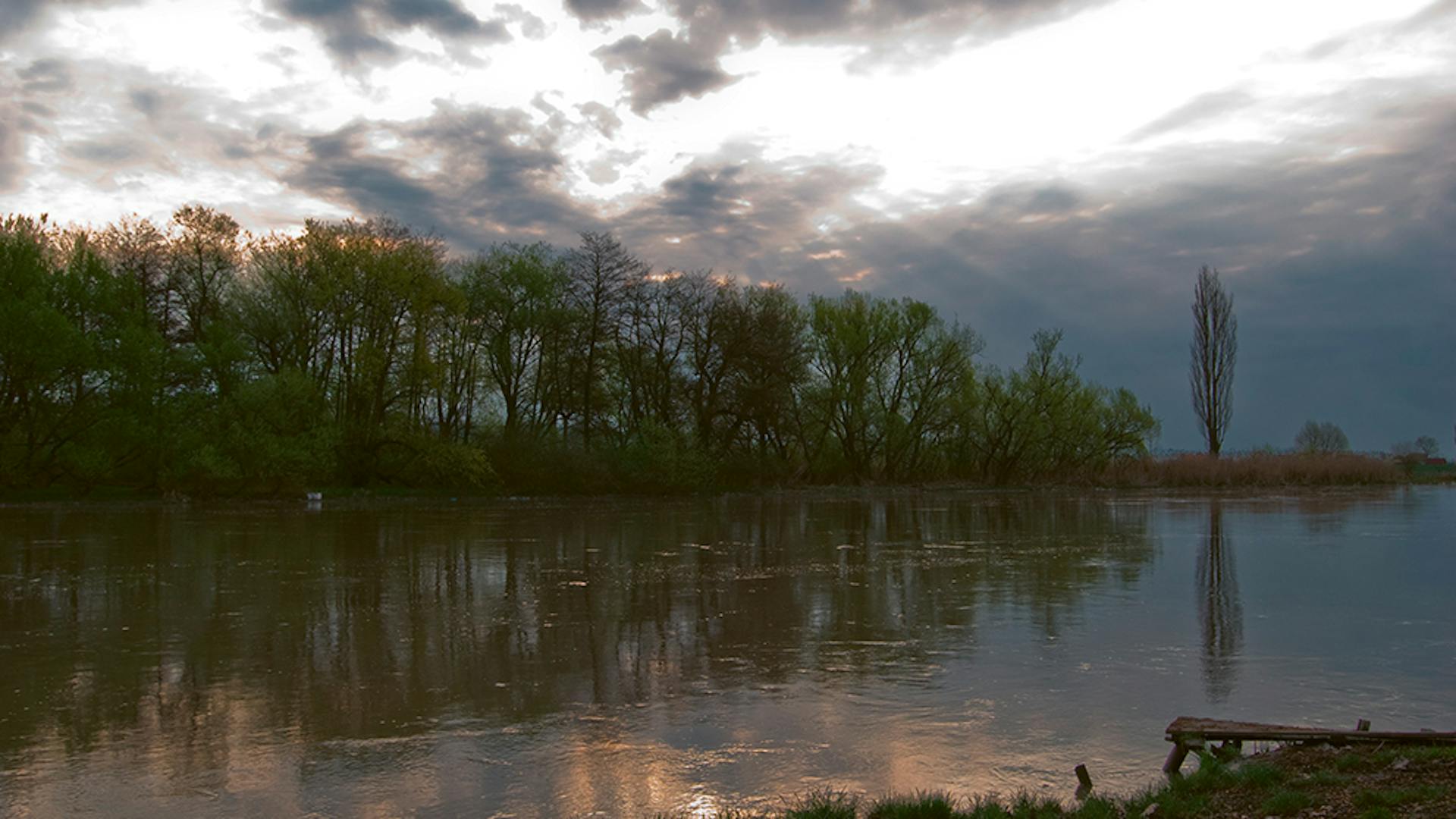 The river Mures flows gently through the Carpathians.