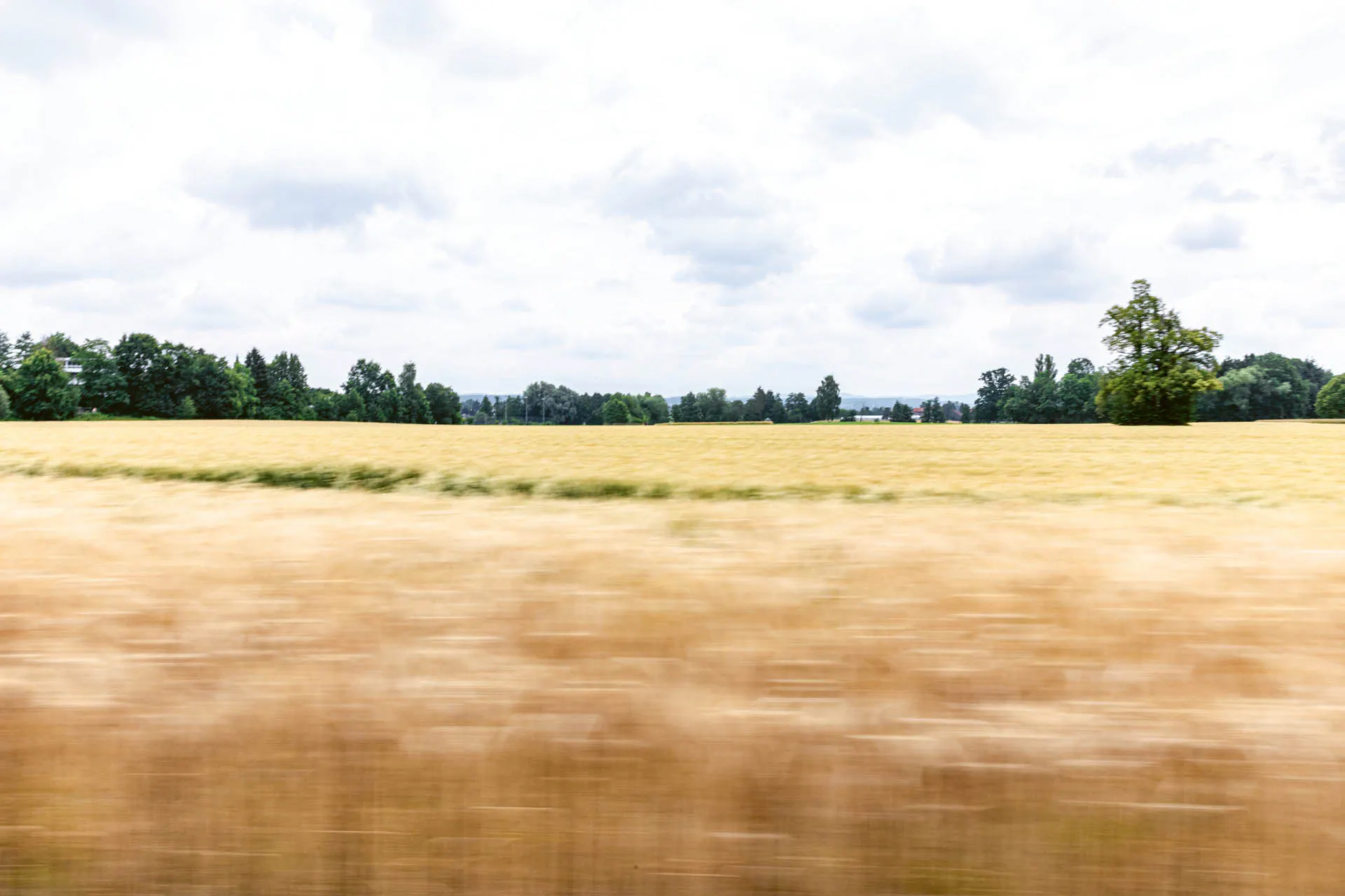 Age-related macular degeneration is one of the most common eye diseases