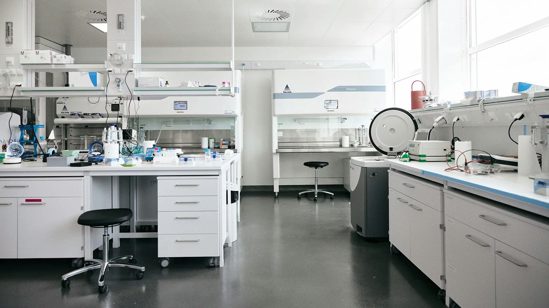 View of Thierry Schlama’s new lab on the Campus in Basel, where the team is re-engineering enzymes.