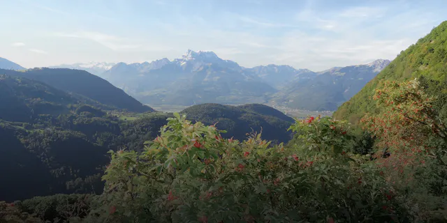 A spectacular view over the Valais Alps as seen from the Gentiana medicinal plant garden in Leysin.