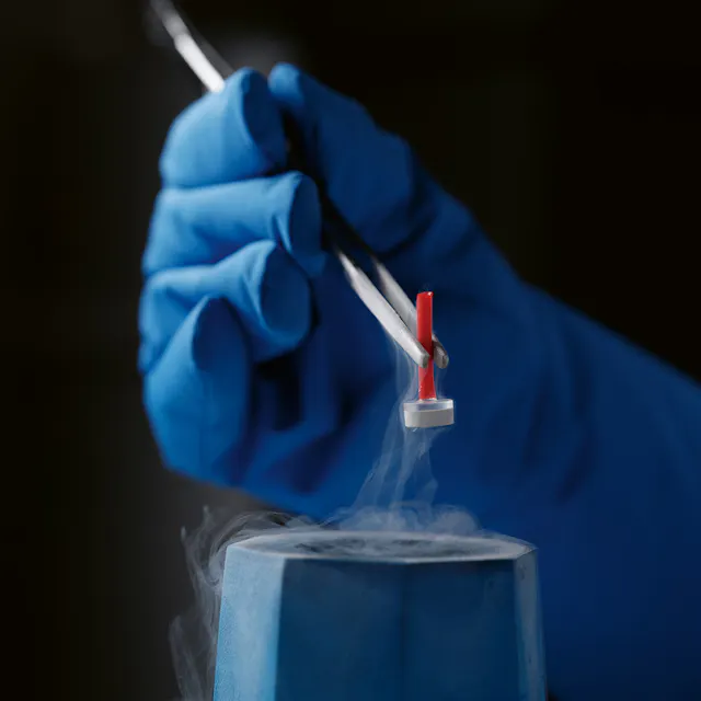 Sample grids are stored in small grid boxes under liquid nitrogen.