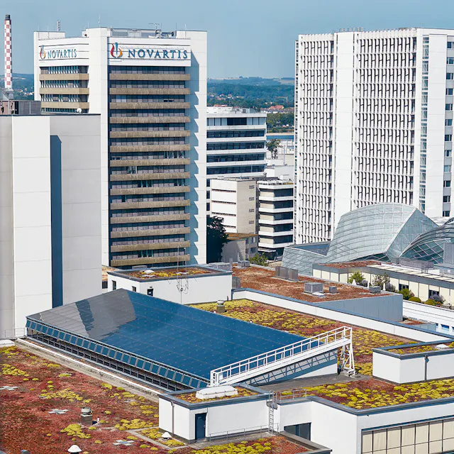 View of the green roofs of the campus.