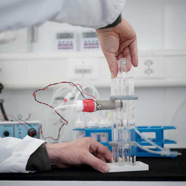 Flies can be trained to associate an odor with the presence of an electric shock in a training apparatus called the T-maze. The resulting olfactory memories can be stored and accessed for several days.