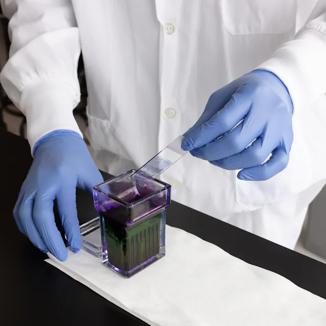 A smart ally in the fight against malaria