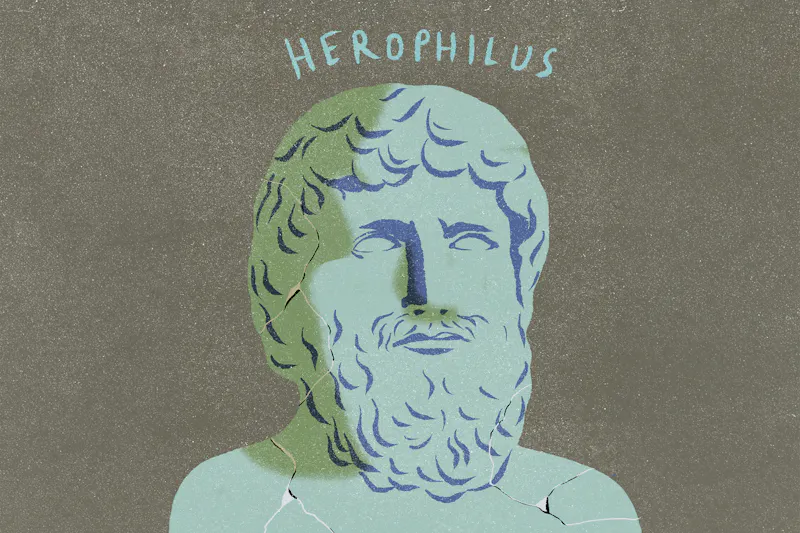 Illustration: Herophilius