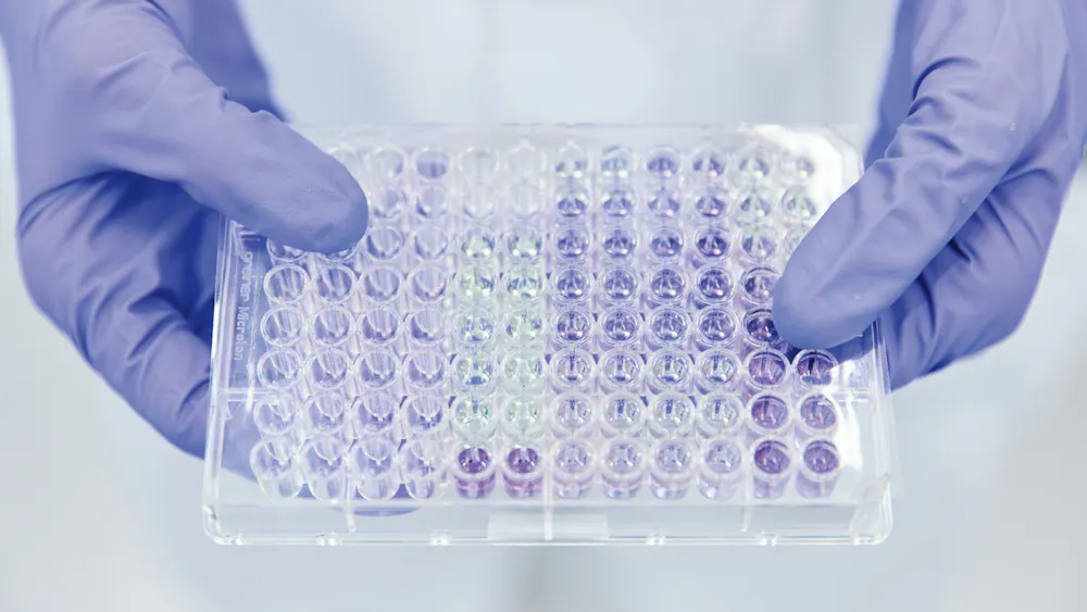 An assay plate.
