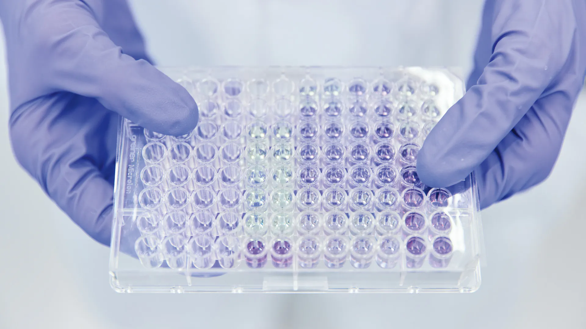 An assay plate.