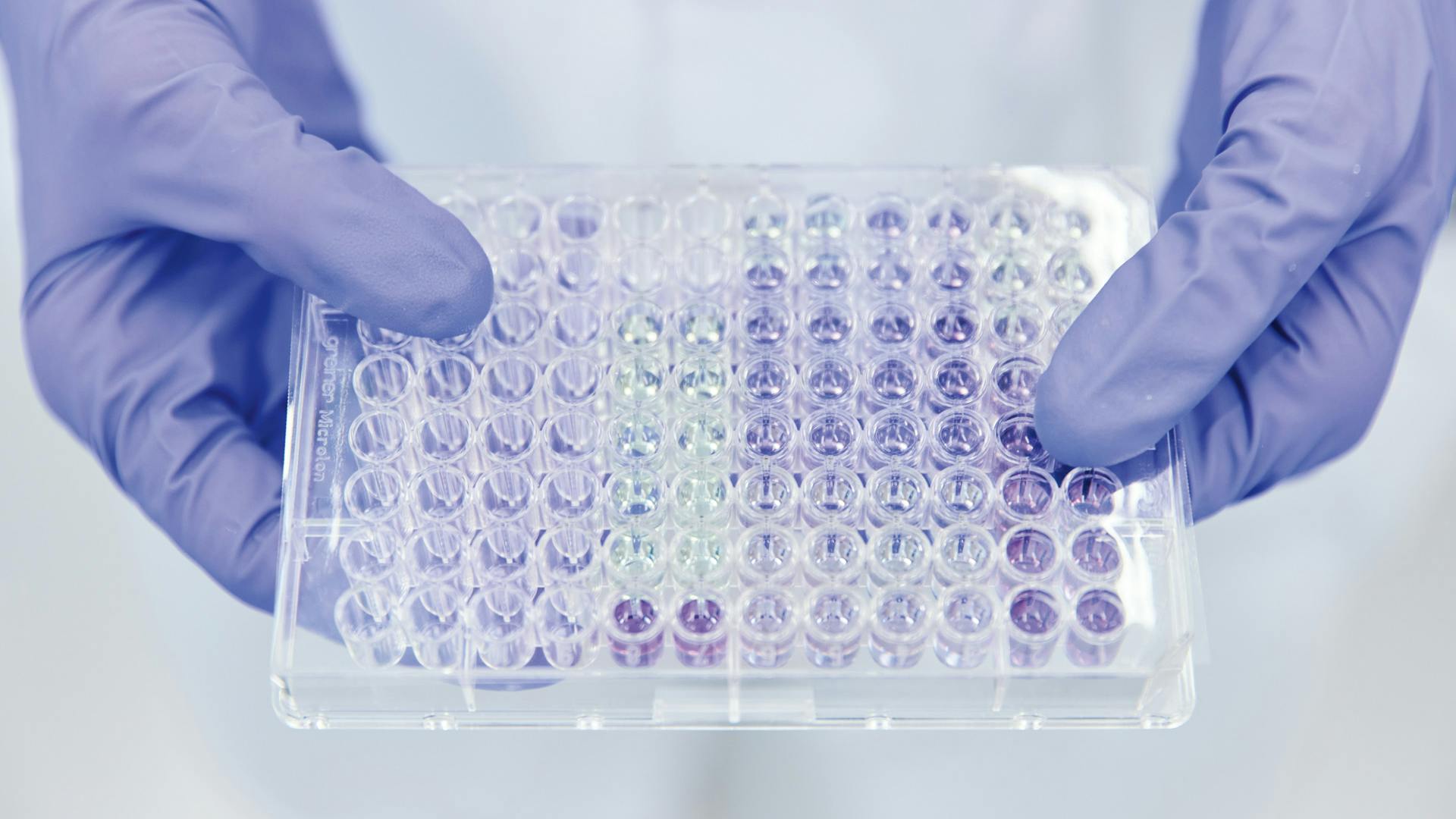 An assay plate.