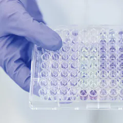 An assay plate.