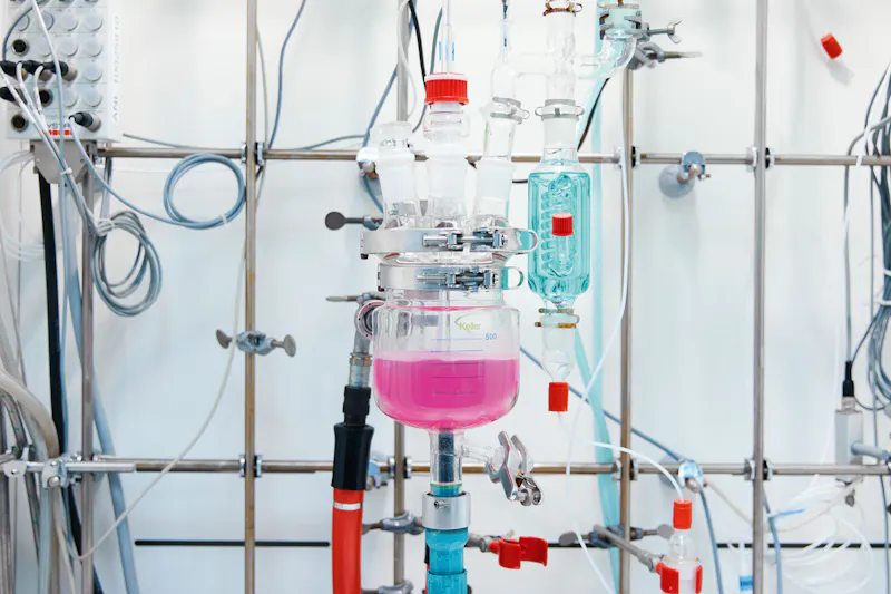 Novartis Biomedical Research