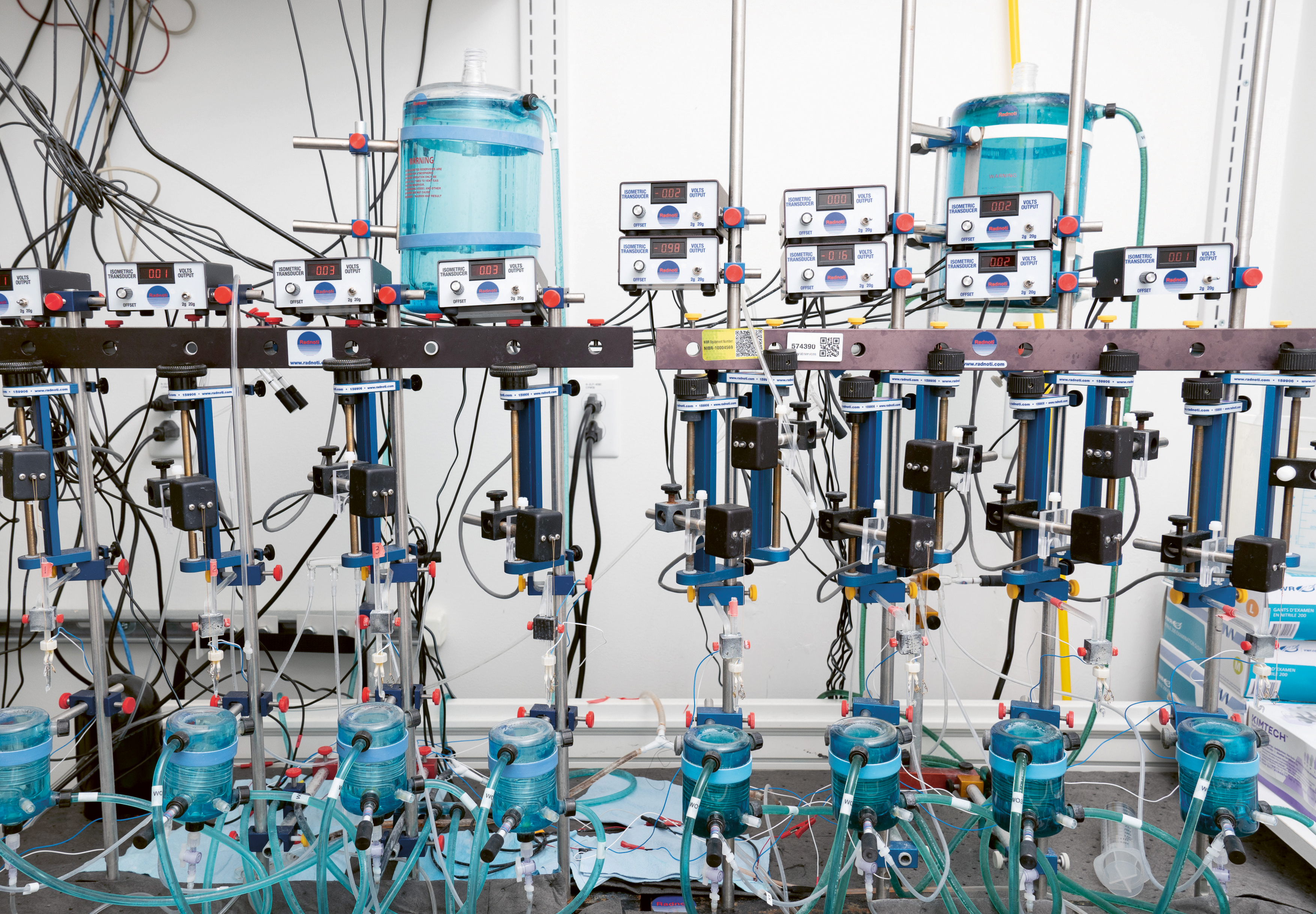 Developing a New Molecule for Heart Failure Treatment