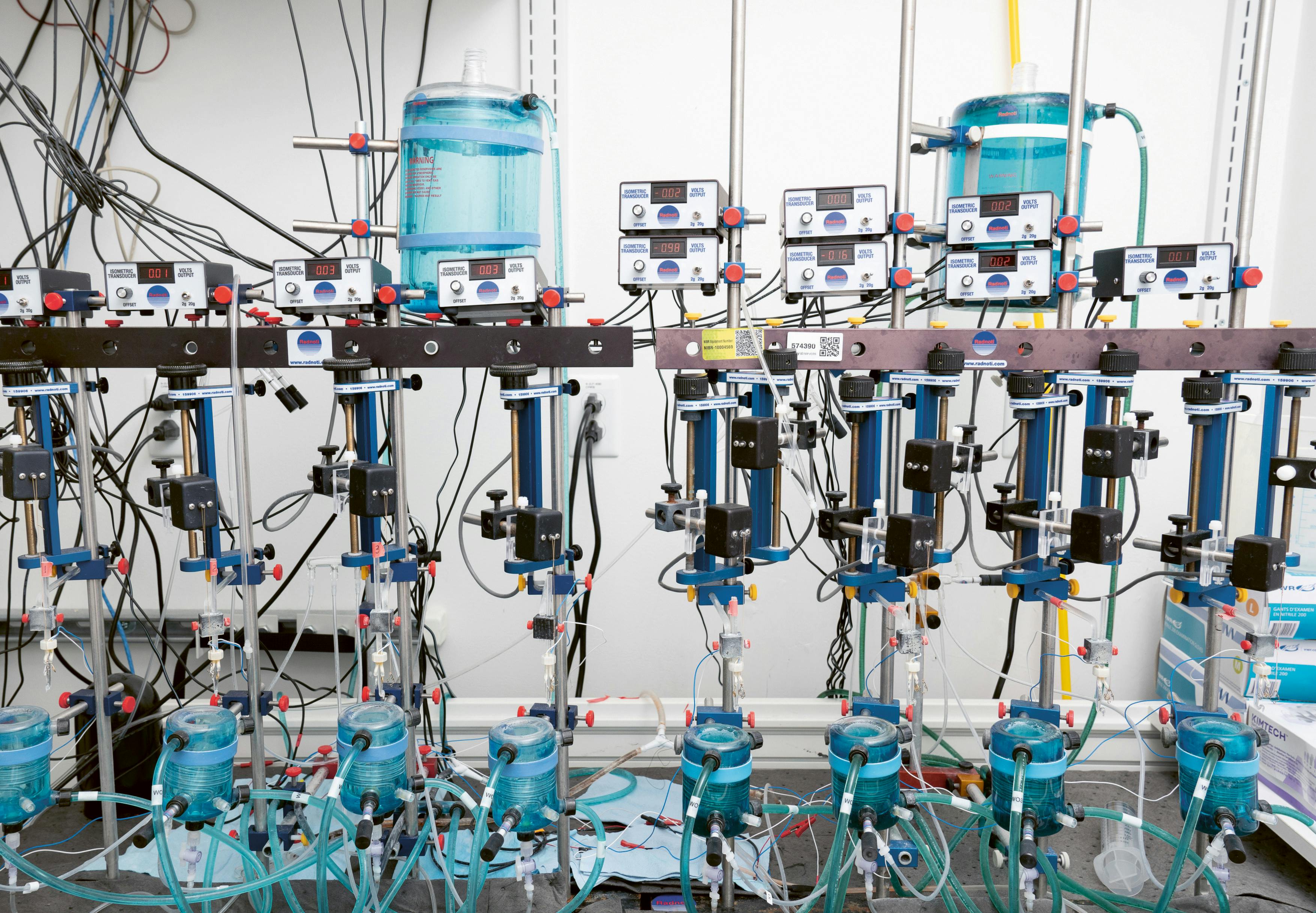 Developing a New Molecule for Heart Failure Treatment