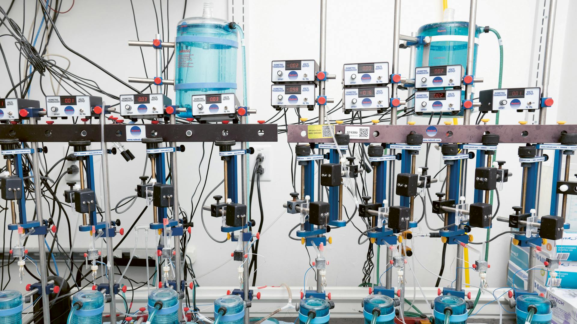 Developing a New Molecule for Heart Failure Treatment