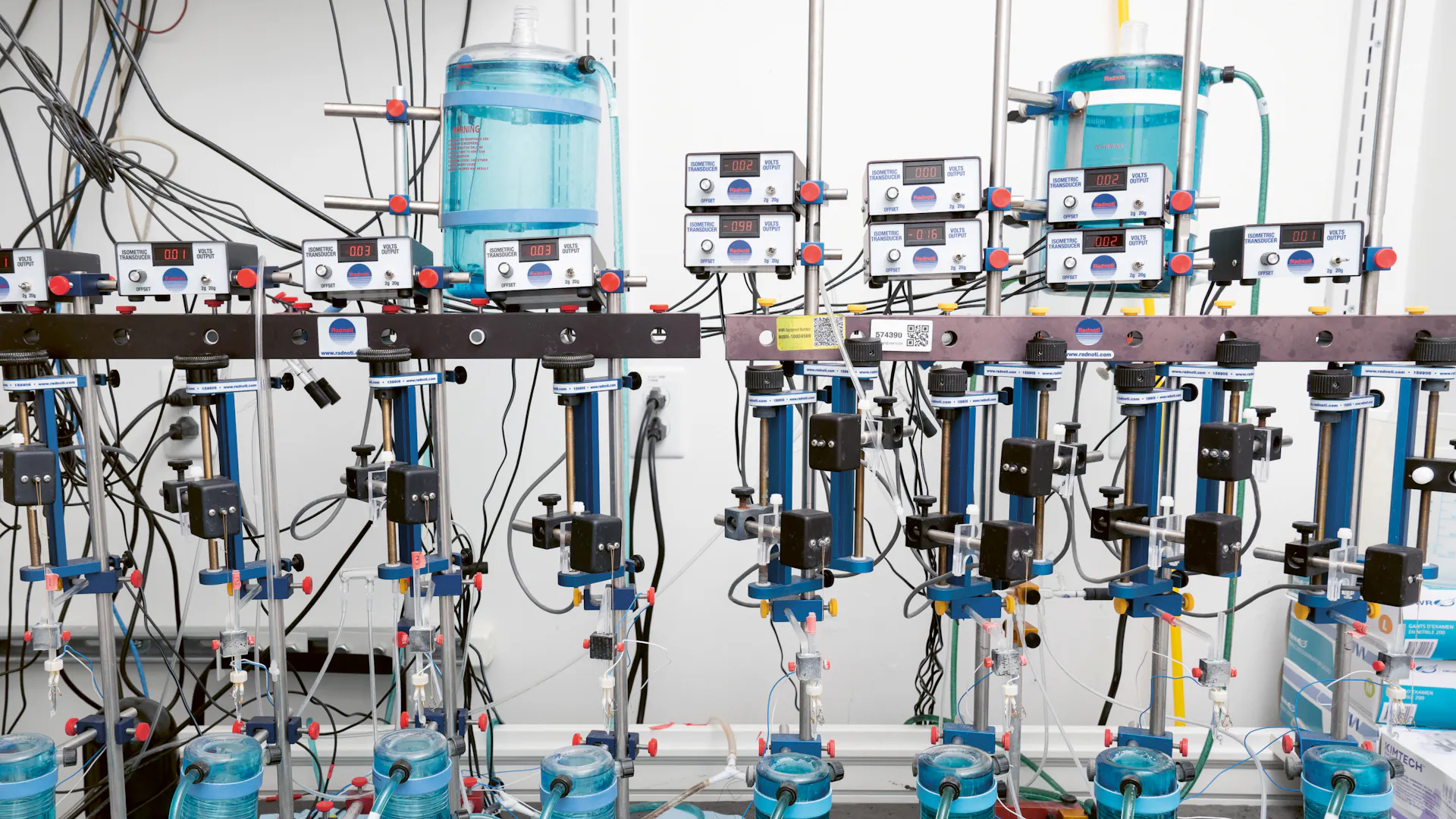 Developing a New Molecule for Heart Failure Treatment