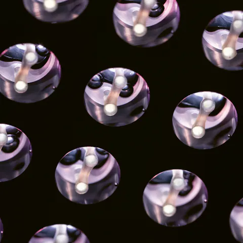 mini-hearts plate