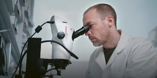 Der Genotyp der mutierten Fliegen lässt sich mit externen Markern visuell identifizieren, was eine einfache und effiziente Anwendung des reichhaltigen genetischen Werkzeugkastens von Drosophila ermöglicht.