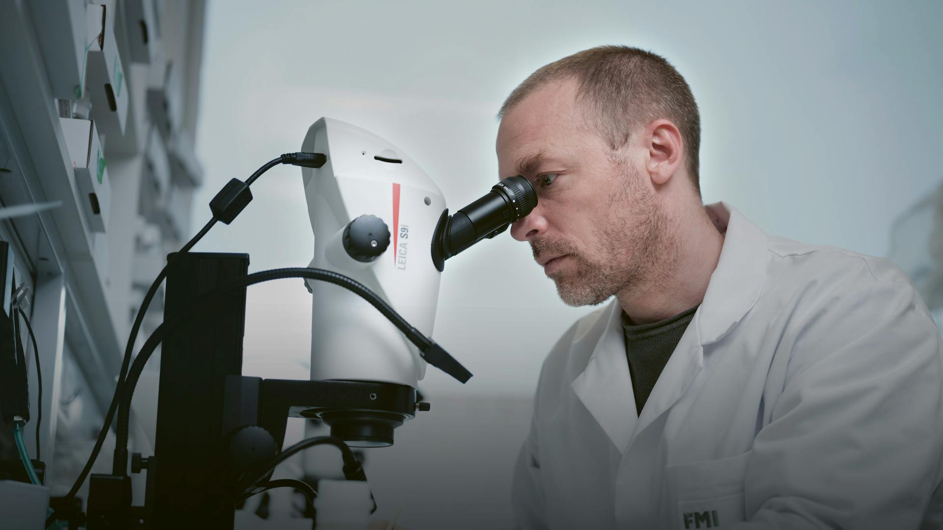 Der Genotyp der mutierten Fliegen lässt sich mit externen Markern visuell identifizieren, was eine einfache und effiziente Anwendung des reichhaltigen genetischen Werkzeugkastens von Drosophila ermöglicht.