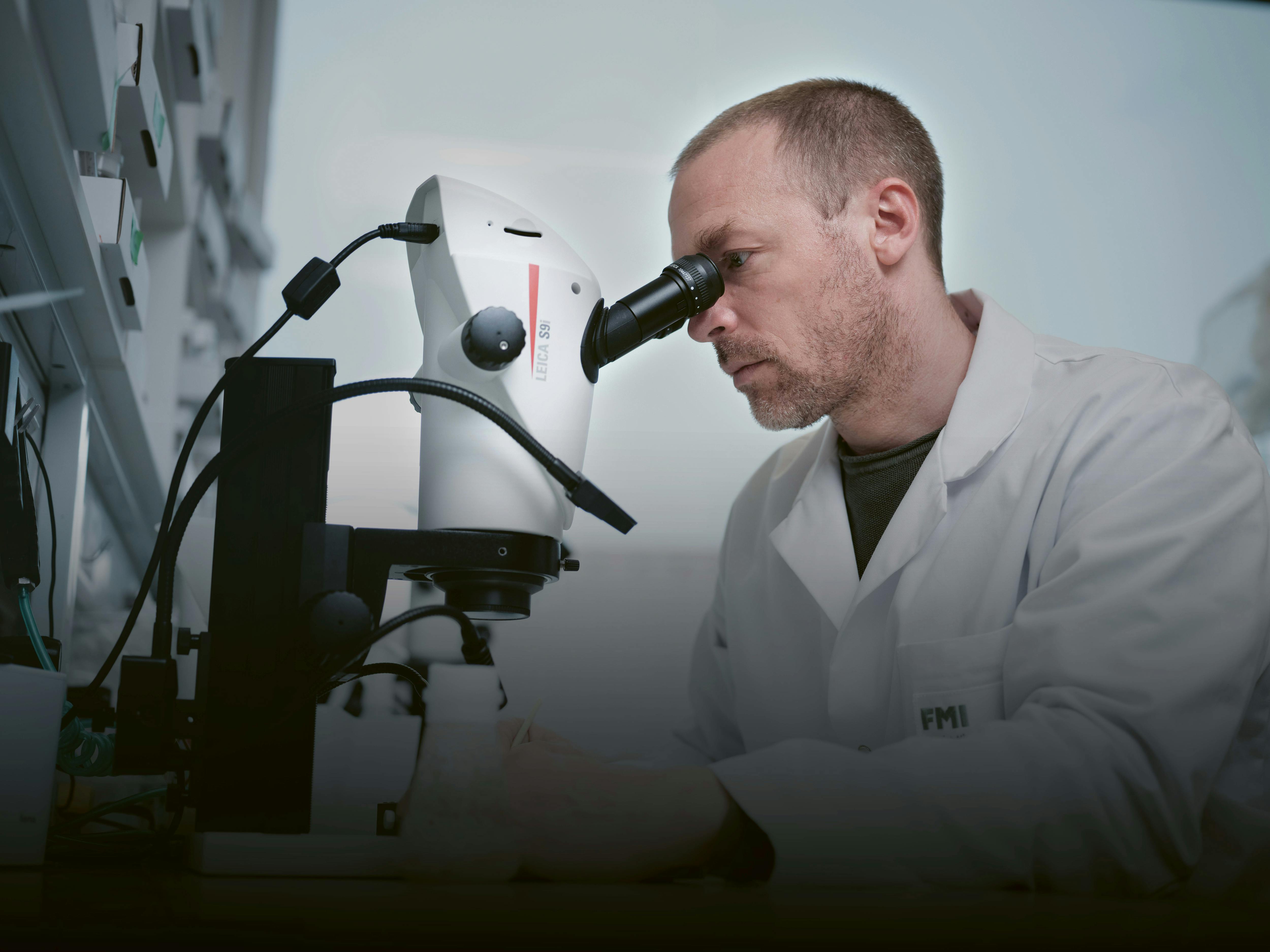 Der Genotyp der mutierten Fliegen lässt sich mit externen Markern visuell identifizieren, was eine einfache und effiziente Anwendung des reichhaltigen genetischen Werkzeugkastens von Drosophila ermöglicht.