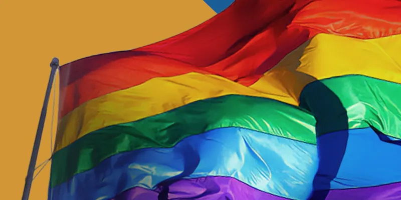 Rainbow flag