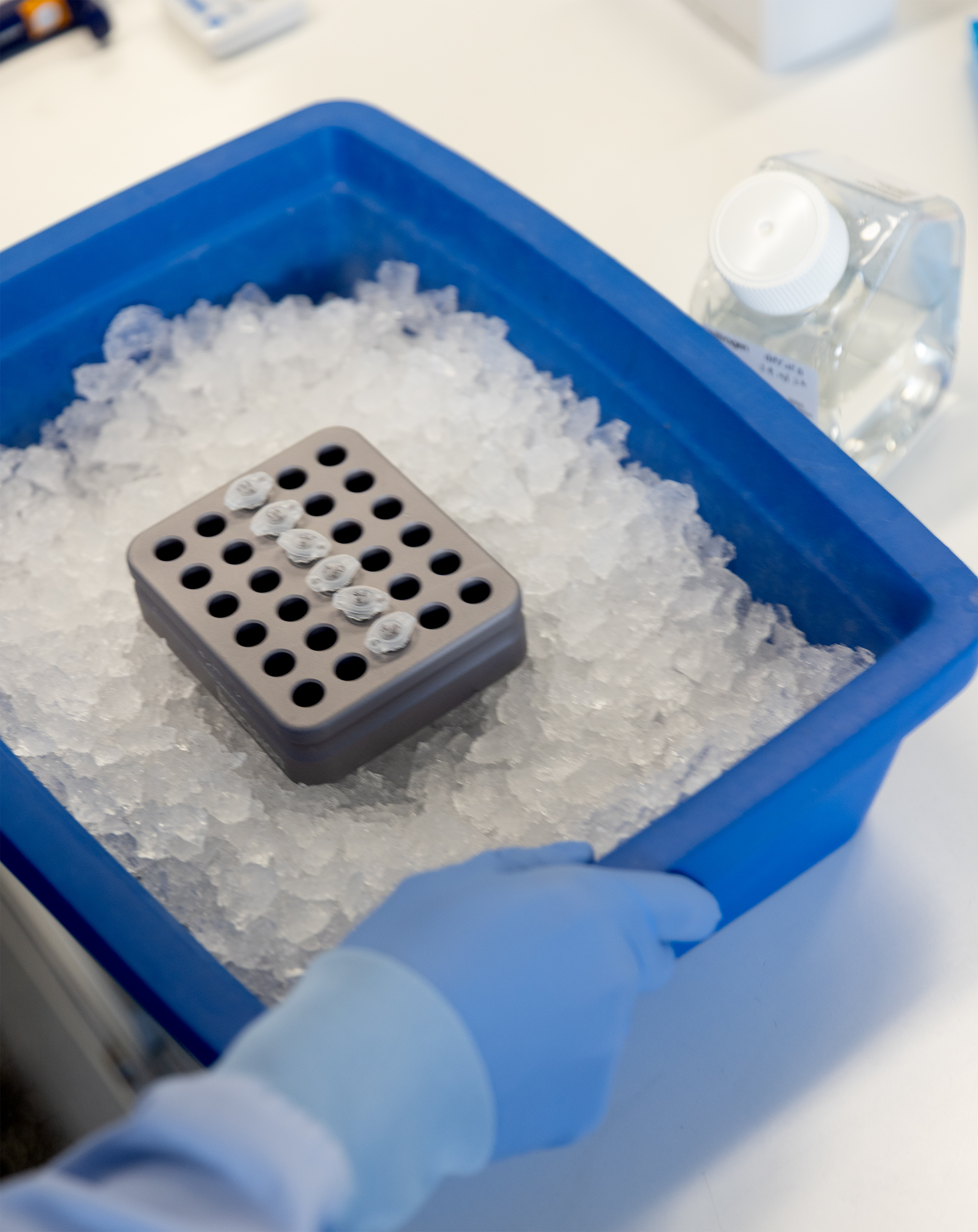 Blue tub full of ice containing DNA samples.