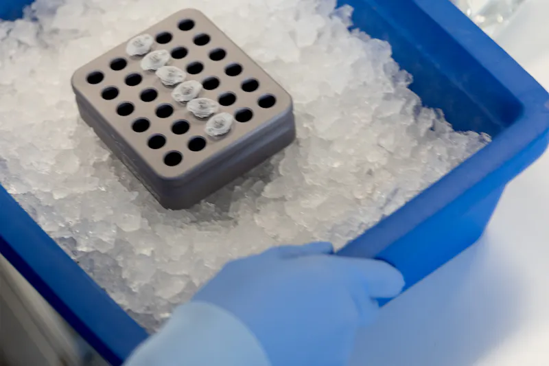 Blue tub full of ice containing DNA samples.
