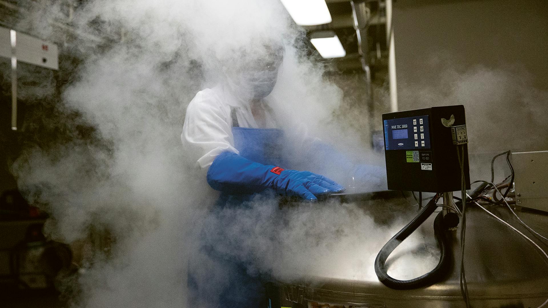 Eine Wissenschaftlerin entnimmt auf dem Novartis Campus in Emeryville (Kalifornien/USA) in Flüssigstickstoff eingelagerte Zellen.