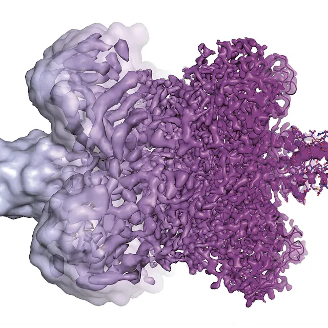 Difference of resolution between traditional imaging technologies. The right-hand side shows the detailed structure of a protein rendered with the help of a cryo-electron microscope.