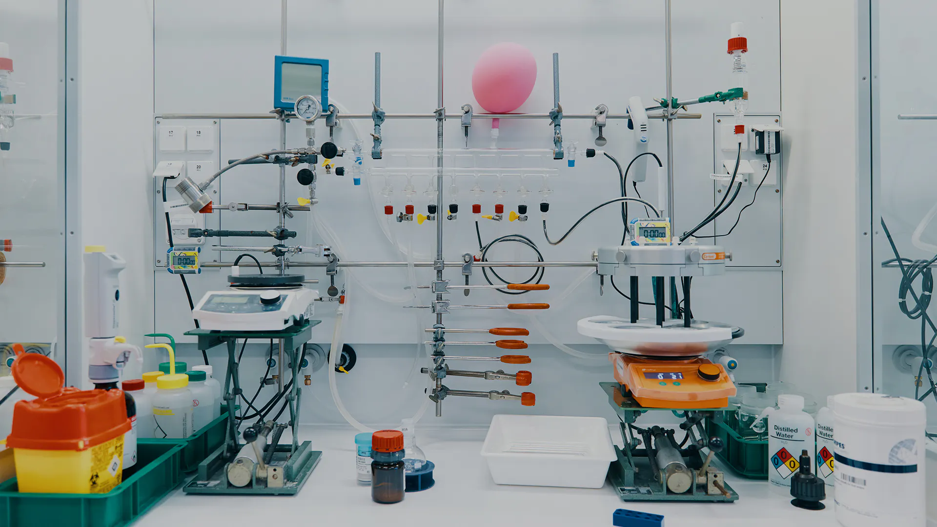 Novartis Biomedical Research