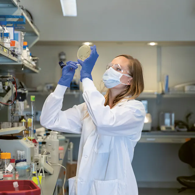 Stephanie Moquin, Postdoktorandin im Dengue-Team, exprimiert Proteine in einem Speziallabor auf dem Novartis-Forschungscampus in Emeryville.
