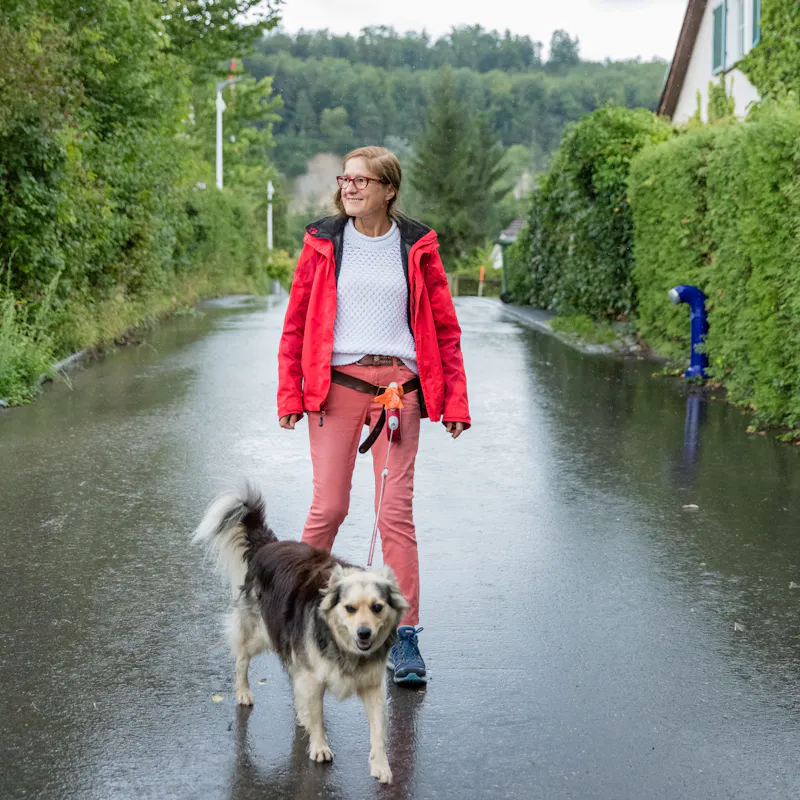 The daily walk with dog Nico on the specially made belt holder takes place in all weathers.  In general, biologics, which are delivered directly into the bloodstream through infusions or injections, are the new generation of basic medications in the fight against rheumatism. They intervene much more subtly in the immunological inflammatory processes than any previously available drugs.  Worldwide, chronic polyarthritis is the most common inflammatory rheumatic disease. In Switzerland, it affects about 70,000 people, or just under one percent of the population. In total, however, there are about 200 different types of rheumatism. The Rheumaliga Schweiz takes care of the concerns of all these rheumatism patients.