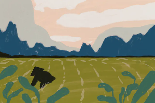 Illustration of rice field in Vietnam.