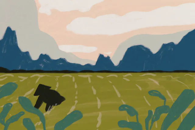 Illustration: Reisfeld in Vietnam.