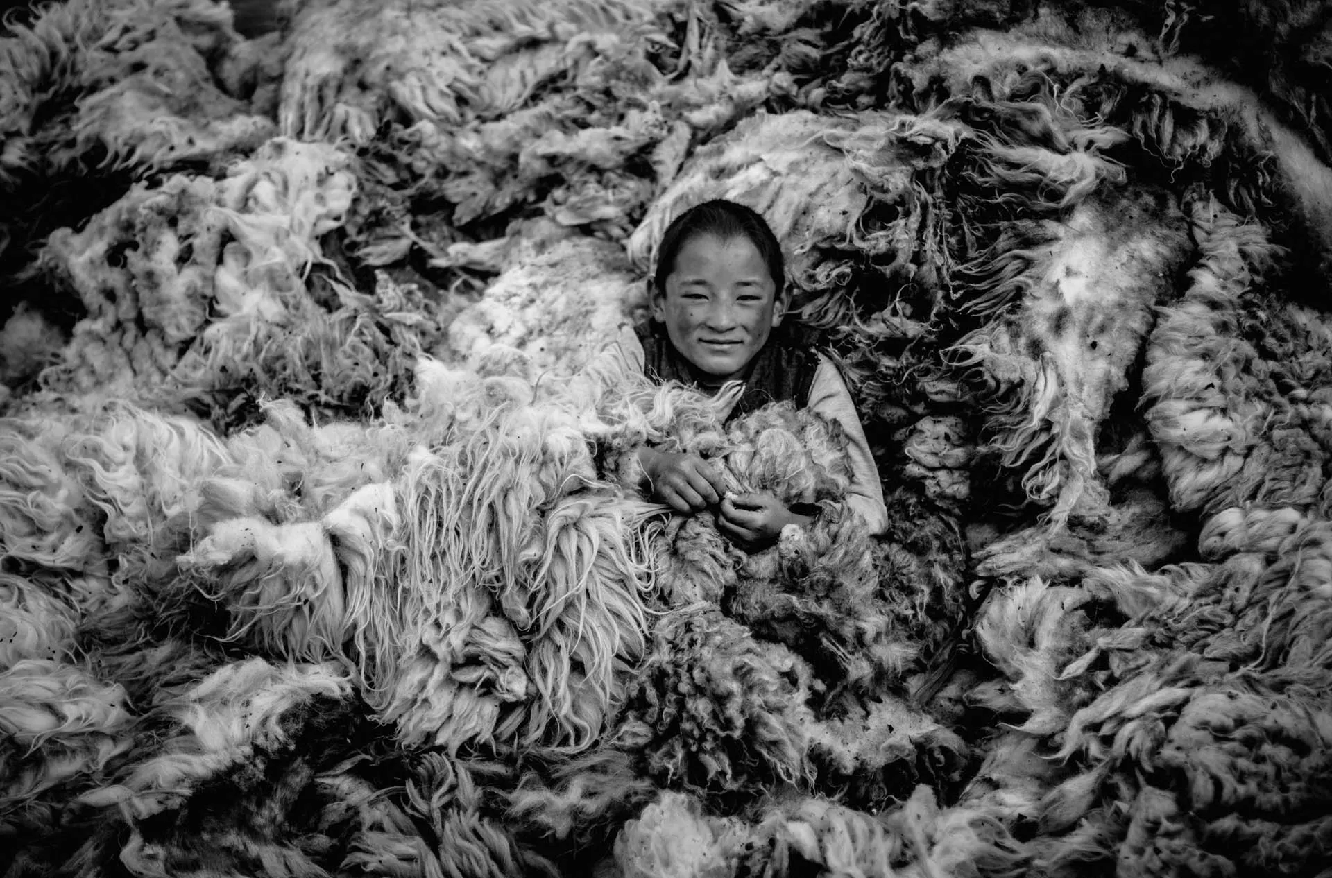 A nomadic young boy plays in a pile of freshly sheared wool. — Western Mongolia, summer 2016