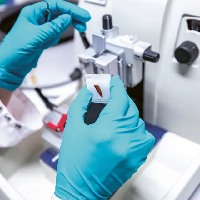 Cell samples are cut into very fine strips.