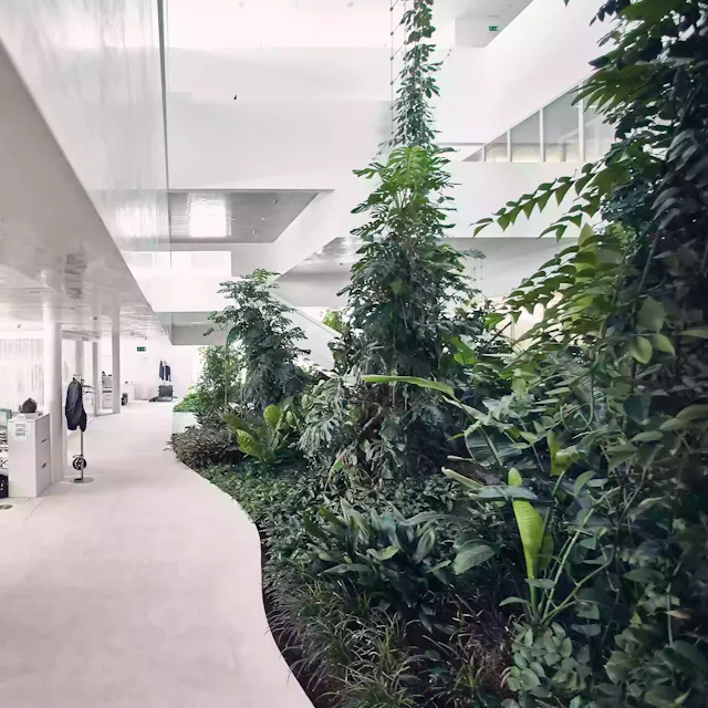 Normally, you would find potted plants in offices. In Virchow 16, on the Novartis Campus, this idea was discarded. Interior and exterior seem to fluctuate.