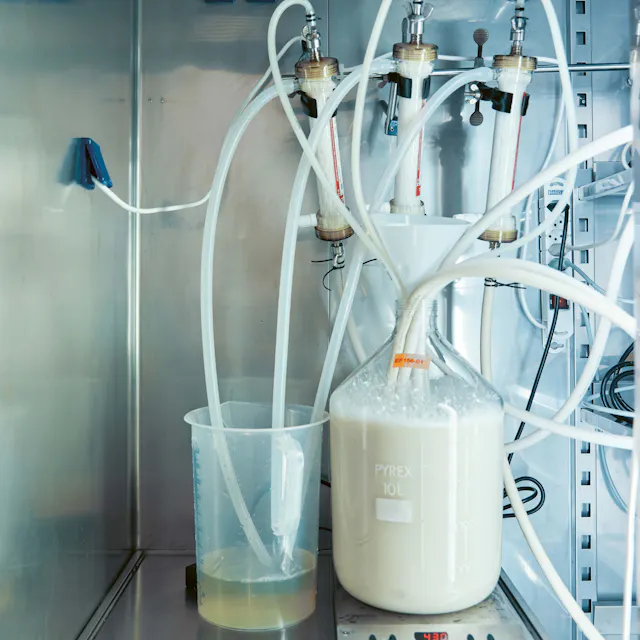 The nutrient solution is separated in the filtration system for enzymes.