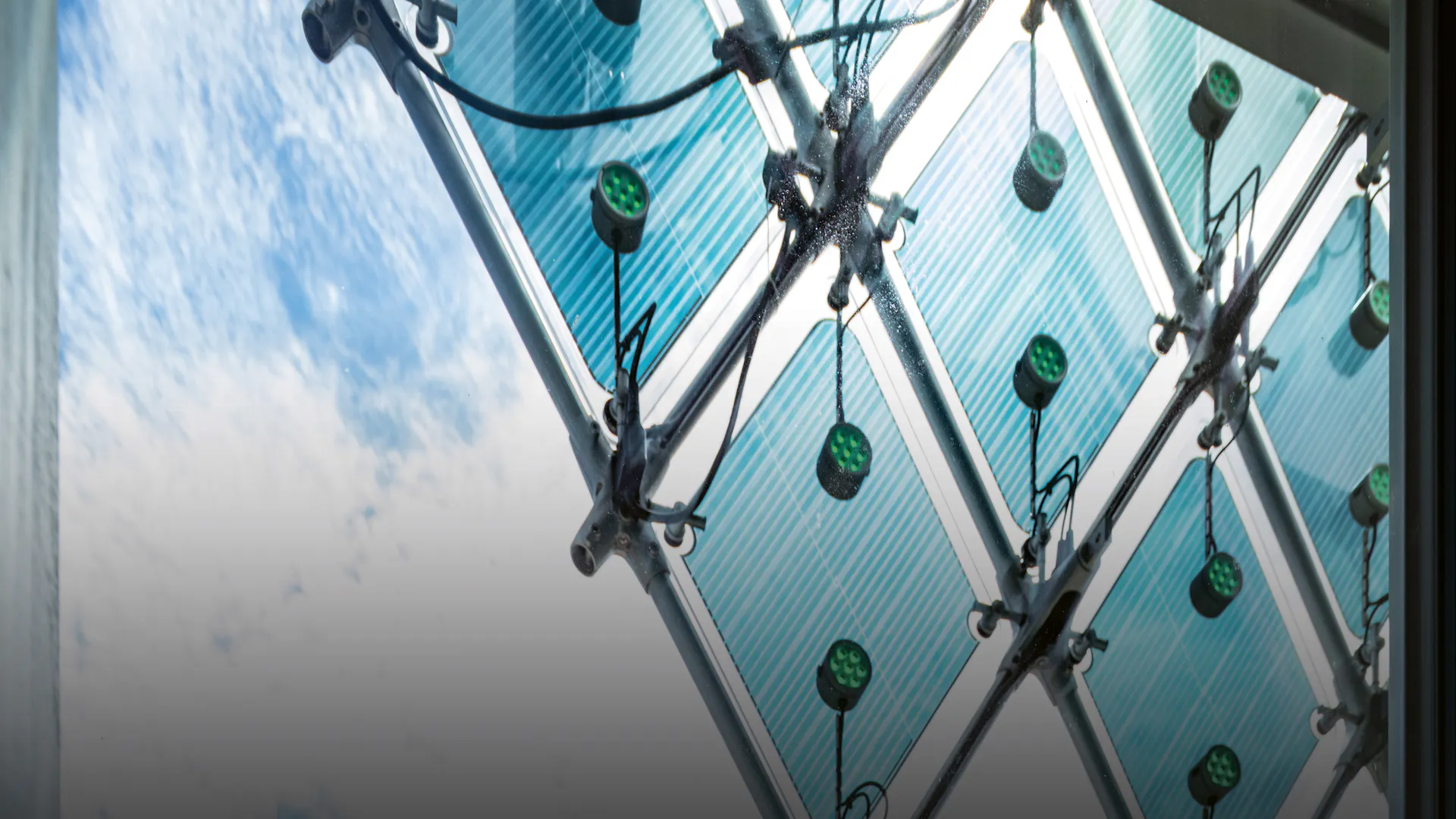 A network of light