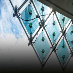A network of light
