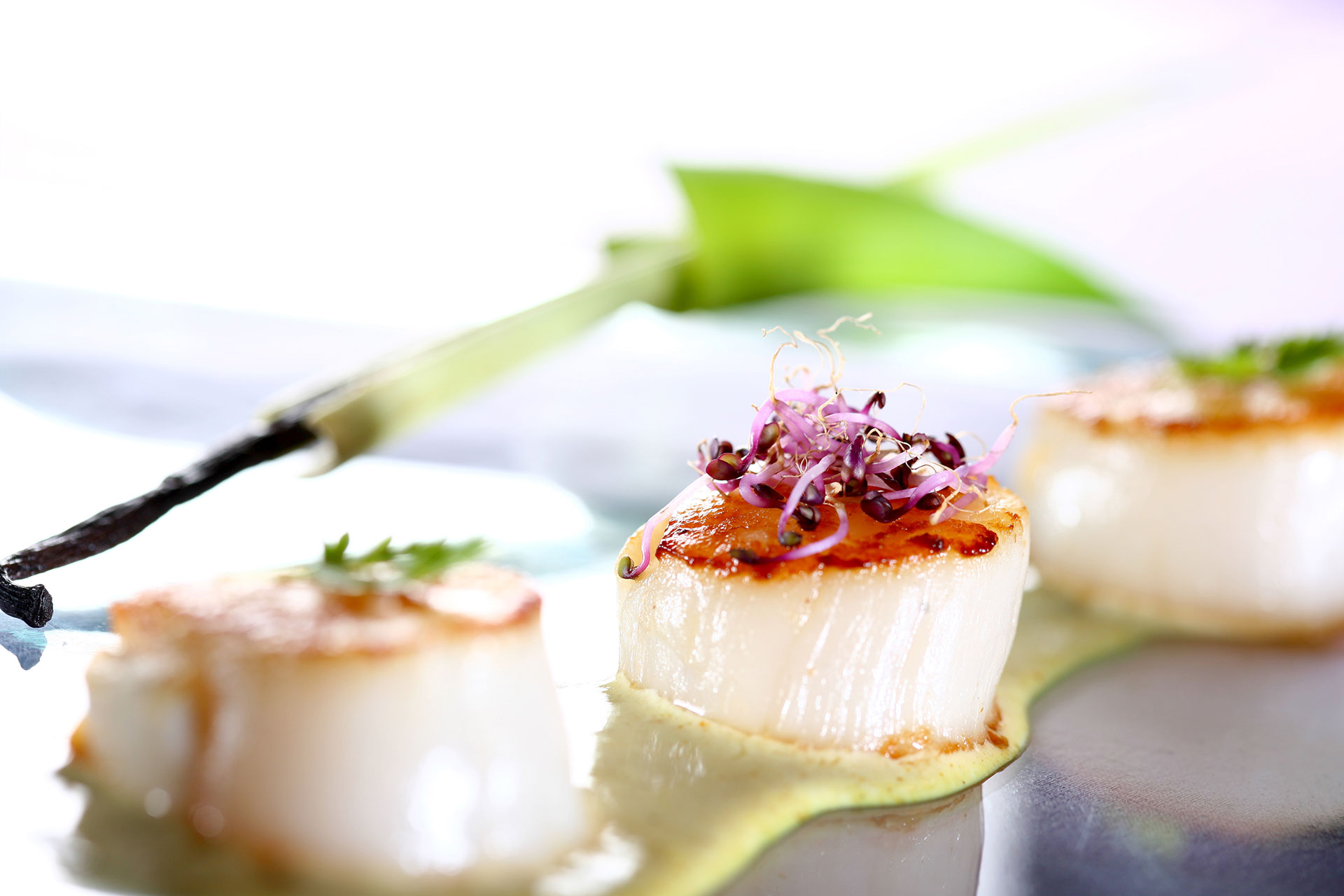 Photographie culinaire de Noix de Saint-Jacques