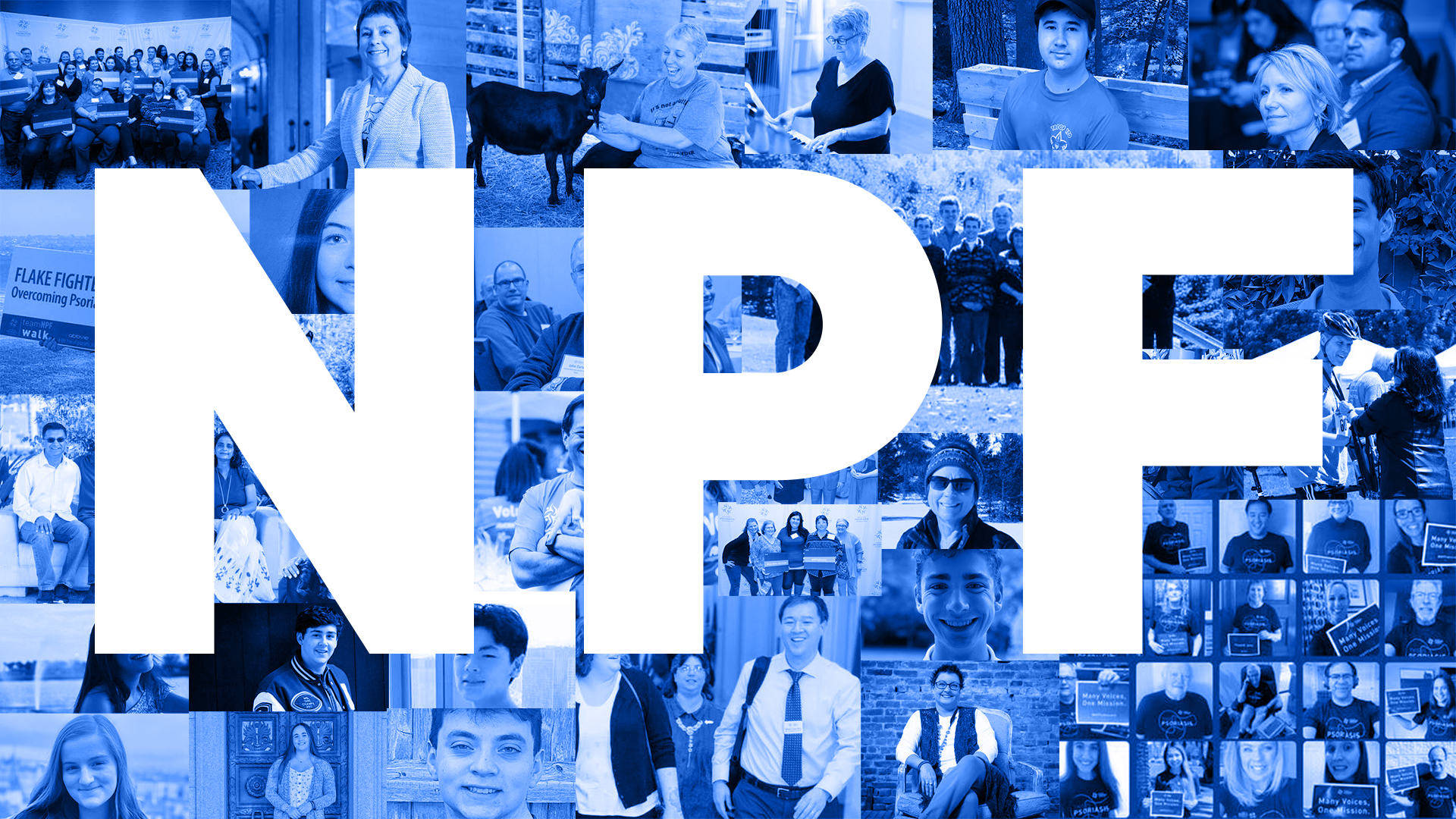 Photo collage of NPF volunteers with the letters "NPF".