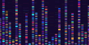 Genome sequencing barcode graphic