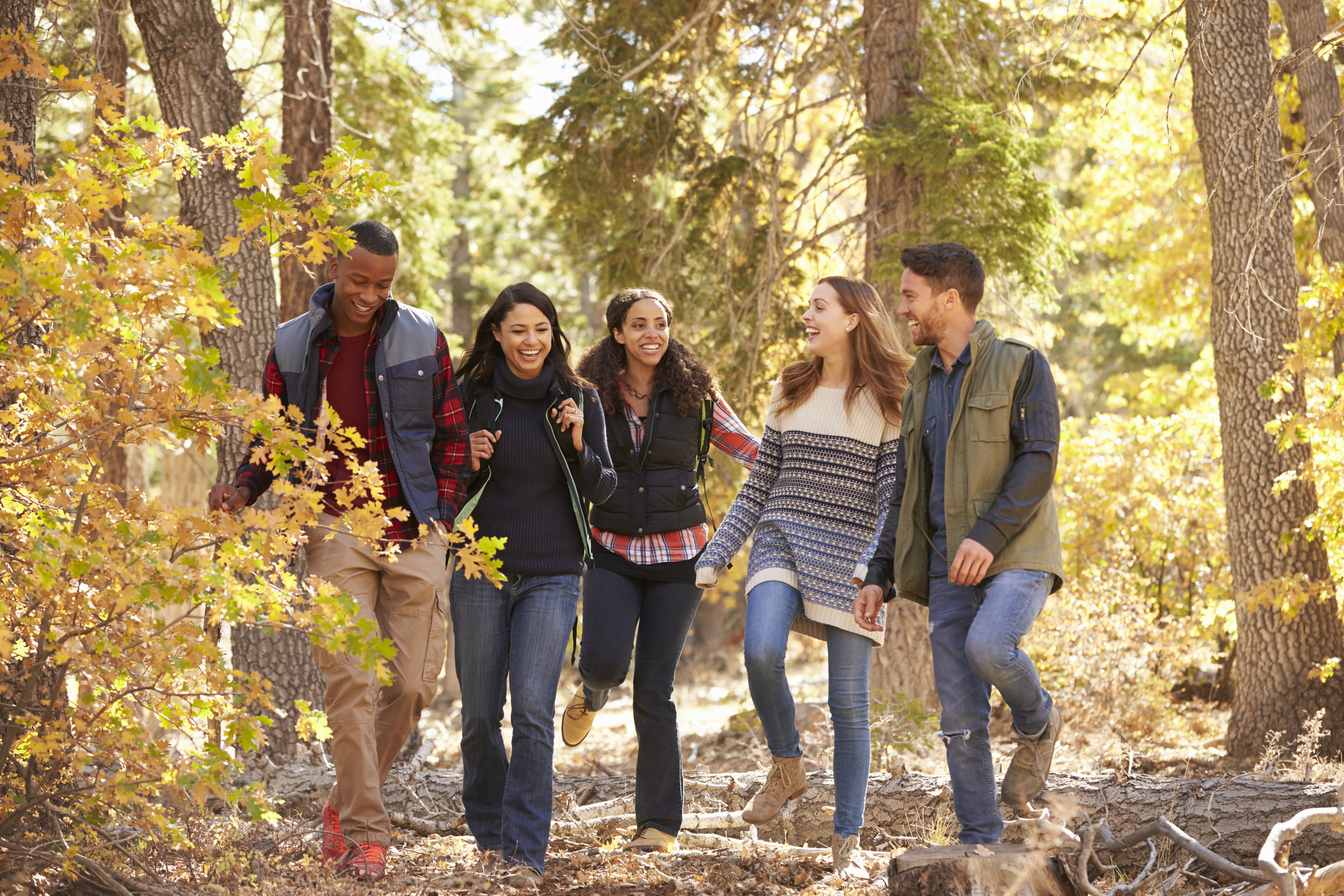 A group of friends hiking in the woods in Autumn.