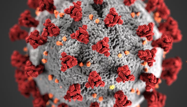 A close-up of an illustrated model of the COVID-19 virus.