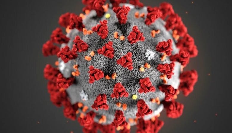 Image of coronavirus molecule.