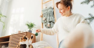 A woman plays with her cat using an ornament.