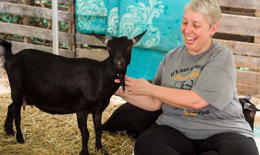 Goat yoga with Julie